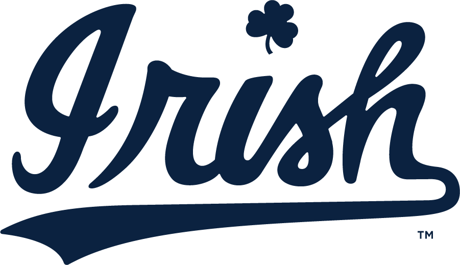 Notre Dame Fighting Irish 2015-Pres Wordmark Logo v2 t shirts iron on transfers
